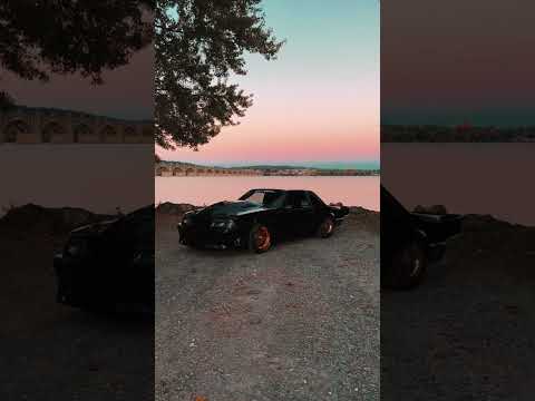 Saxl Rose “Cruise Control” (Official Visualizer)