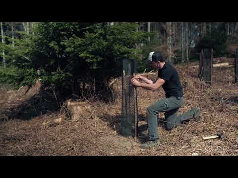 Treebreathe Sàrl YouTube-Vdeominiatur 9