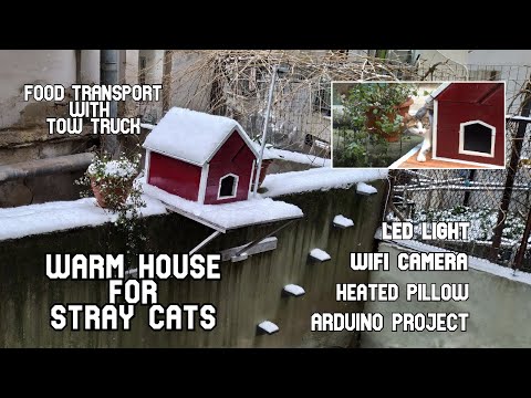 How to Build an Insulated Cat House