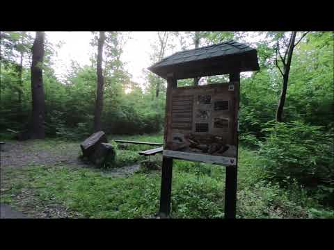 Furča forest - Furčiansky lesopark, Košice Slovakia by bike