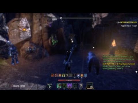 48k dps Magicka Warden support build in master architect and mothers sorrow