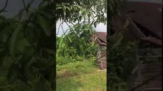 Papan , Perak - Video Recording of the Surrounding