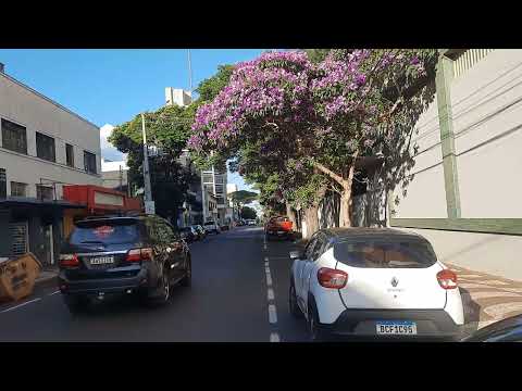 HISTÓRIA DE ROLÂNDIA DATA ANIVERSÁRIO 