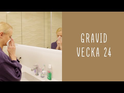 Gravid vecka 24