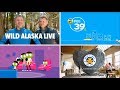 PBS Kids Family Night Interstitials Wild Kratts Wild Alaska Live 2017 WFWA DT2 Part 1 3