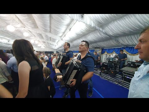 Orkestar Darka Antica "LAVOVI" haos kola u Cumicu,Kragujevac
