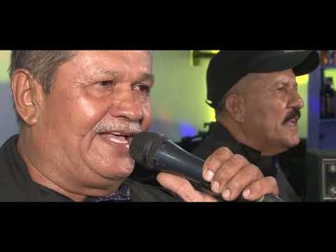 grupo venus cover 2024