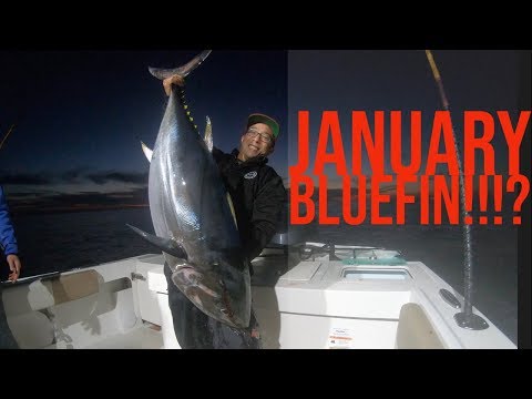 Big Tuna Dreams Season 2 Episode 1January Bluefin Tuna Fishing in California!