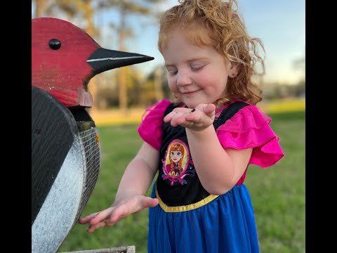 Don and Diane Shipley LIVE - April 10th at 1800 EST Thumbnail