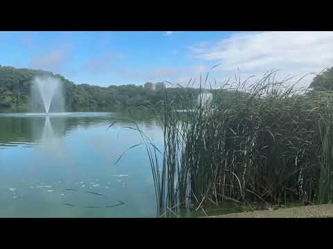 Essex County Body Found