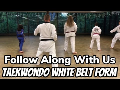 TaeKwonDo White Belt Basic Form One Tutorial (practice loops)