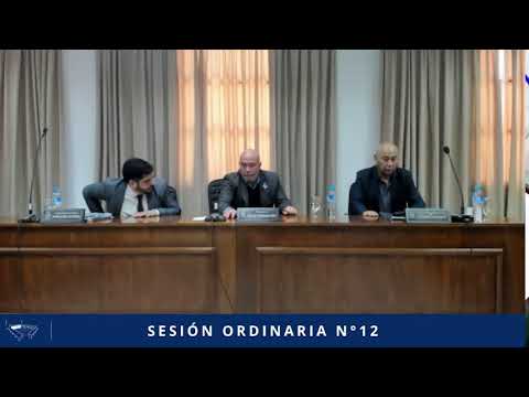 SESIÓN ORDINARIA N° 12