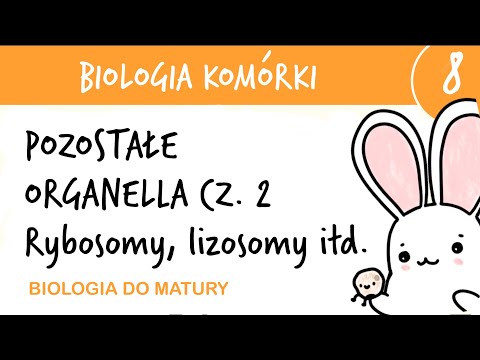 Cytology 8 - Remaining organelles cz.2 Ribosomes, peroxisomes, lysosomes, glyoxysomes, vacuoles