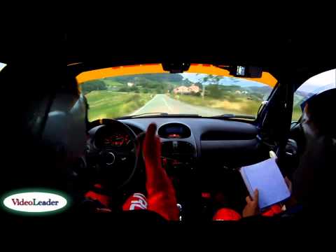 Rally di Cremona 2014 Cameracar - Canu M. - Piras C. - PS10 CREMONA Peugeot 206 A7