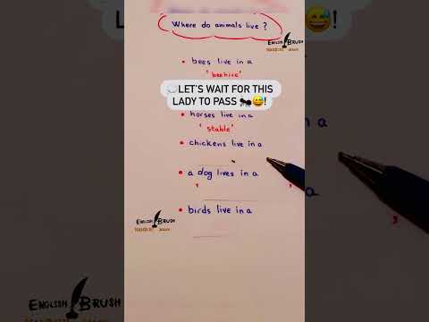 follow 👉🏻  @english_brush 💕 for more improve your English Grammar. ✨📚 #englishbrush
