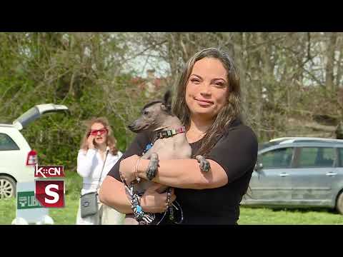 9.izložba pasa u Šidu