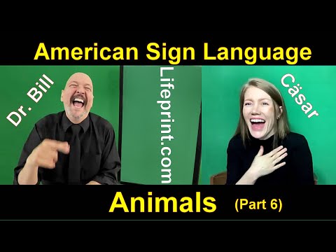 Lesson 12 Story B Cäsar Jacobson Dr Bill ASLU Lifeprint com American Sign Language ASL
