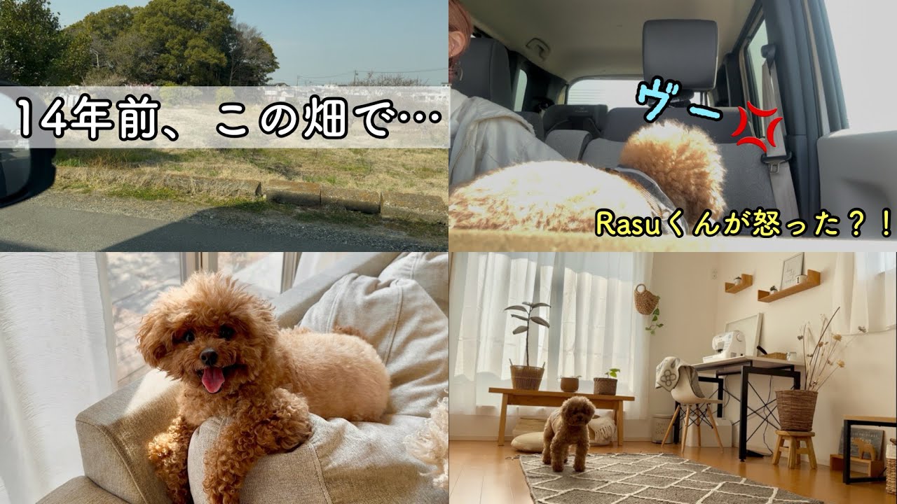 思い出の畑に行ってみた！14年前を思い出す…🐶🌈