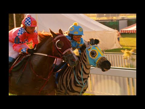 Racing Stripes - big race (part 2)