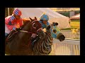 Racing Stripes - big race (part 2)