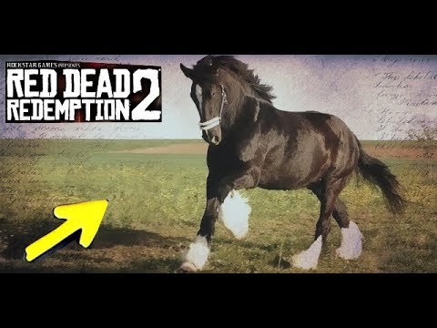 EL MEJOR CABALLO DE RED DEAD REDEMPTION 2