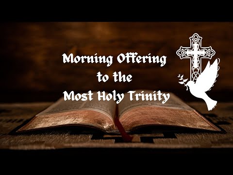 Morning Offering to the Most Holy Trinity #prayers #holytrinity #onegod #LifesBlessedAdventure