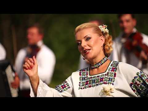 Maria Iliuț și Orchestra Busuioc Moldovenesc -  Cântec pentru naș