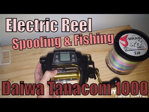 Electric Reel Spooling & Fishing (Daiwa Tanacom 1000)