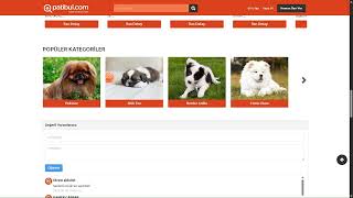 Maltipoo Fiyat - Yavru, Satılık & Sahiplendirme İlanları | patibul.com
