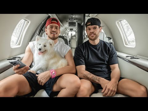 JON VLOGS PEGOU CACHORRO DOS MEUS SONHOS!