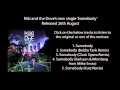 Niki and the Dove - Somebody (The Mixes) 
