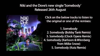 Niki & The Dove - Somebody (The Mixes)