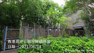 香港濕地公園河畔觀鳥屋