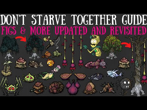 Figs Updated & Revisited! New Crafts, Uses, Foods & More! - Don't Starve Together Guide