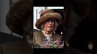 Download lagu Camilla Parker Bowles vs Princess Diana pictures edition 🤭❤️ #dianaspencer #camillaparkerbowles #👑 mp3