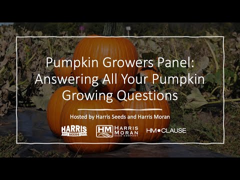 Pumpkin Growers Panel: Answering All Your Pumpkin Growing Questions