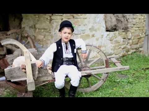 TOMA CEZAR -  U IU, IUI BRADUI, BRADUI