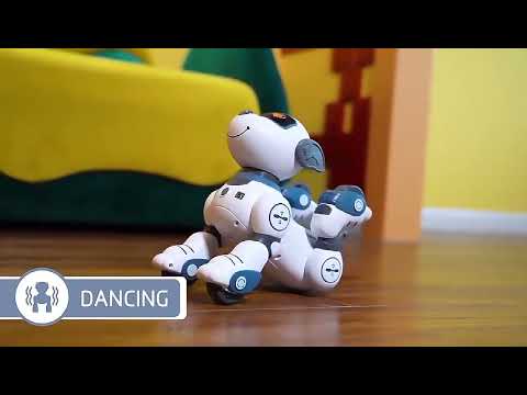 Radijo bangomis valdomas šuo robotas RC robot dog