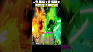 사황 최고간부 잡아내는 조로와 상디 #원피스