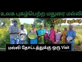World Famous Madurai Malli Visit To Malli Farm Exploring Madurai Malli Fragrance Secret Revealed