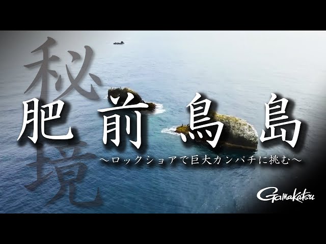 ラグゼ アークフレックス RS | がまかつ ラグゼ アークフレックス RS | がまかつ