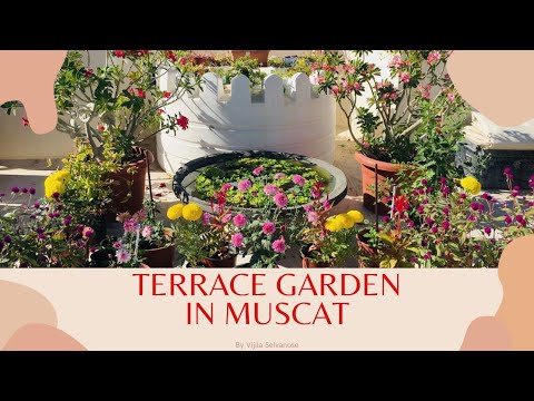 Home Tour - Terrace Garden of Vijila and Selvanose - Part 3
