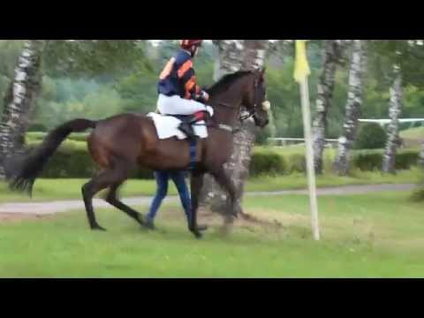 Horse Racing [Kolesa 16.8. 2014]