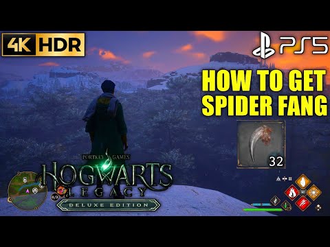 How to Farm Spider Fangs Hogwarts Legacy Spider Fang Location | Hogwarts Legacy Farming Spider Fangs
