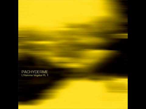 Pachyderme - Univers Interieur
