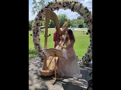 Arpa, Arpista Matrimonio