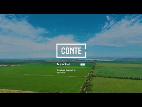 Conte - Naschel 1306 ha