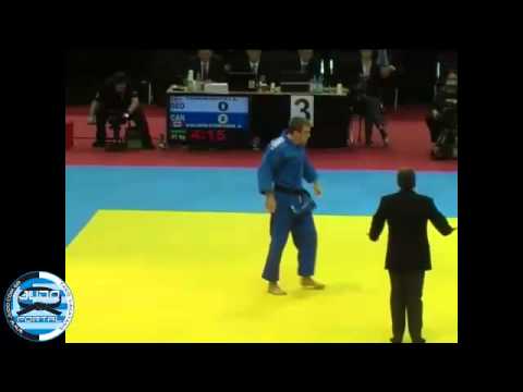 Judo Grand Prix Dusseldorf 2013 Semifnal -81kg TCHRIKISHVILI (GEO) - VALOIS-FORTIER (CAN)