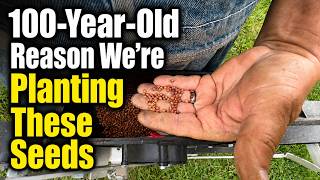 The 100-Year-Old Reason We Are Planting These Seeds