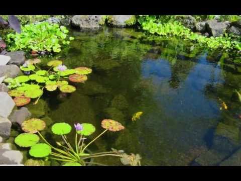 Acoustic Ocean - Music to Lift the Spirit